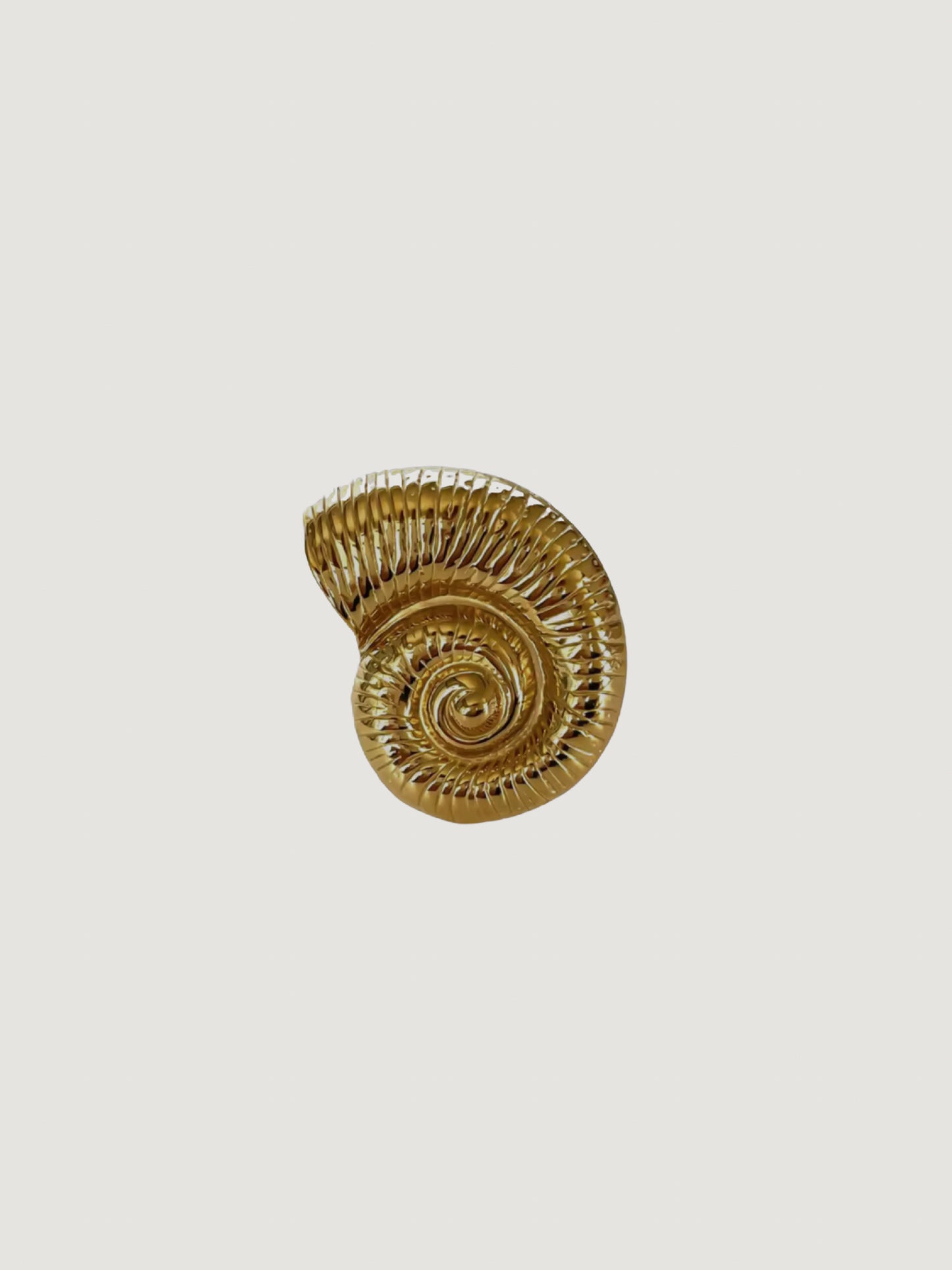 Anillo Caracola Maxi