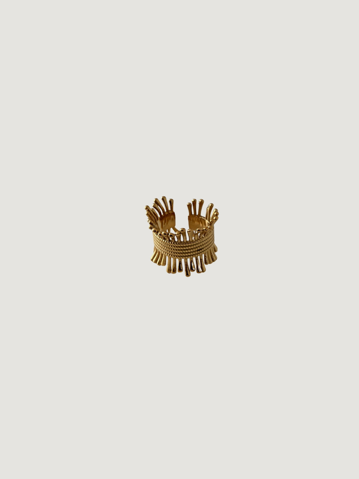 Anillo Raquel