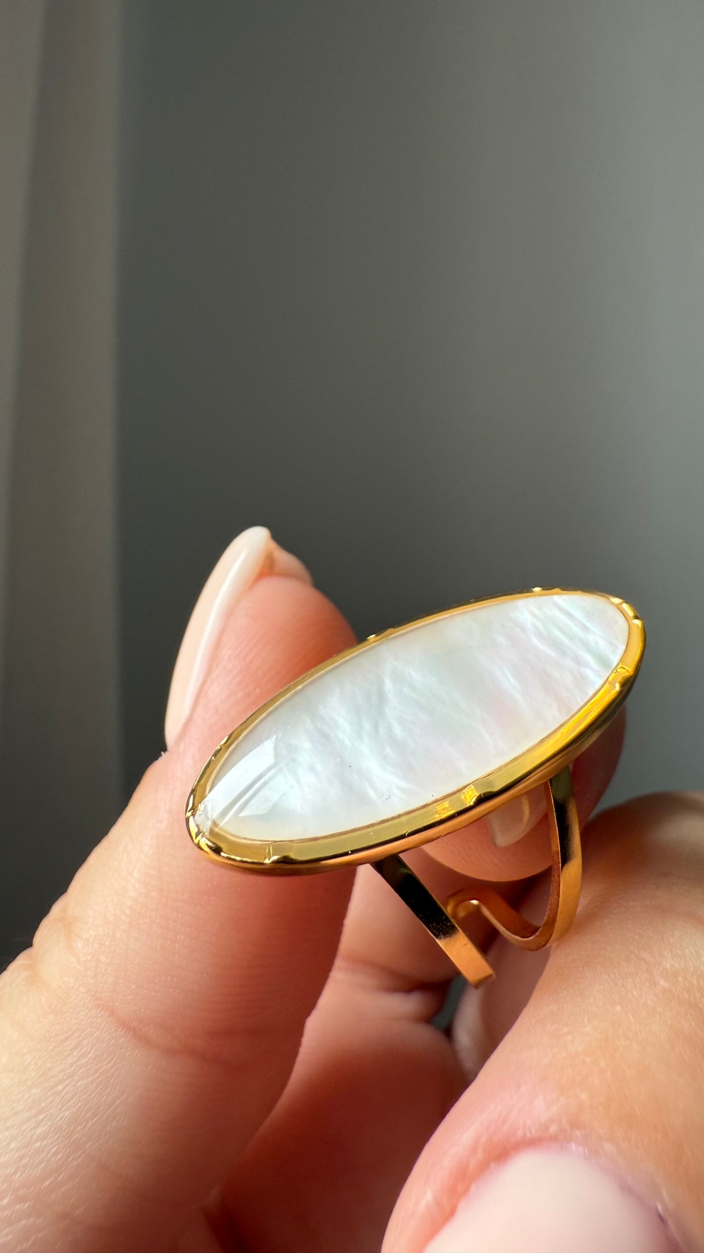 Anillo Orilla