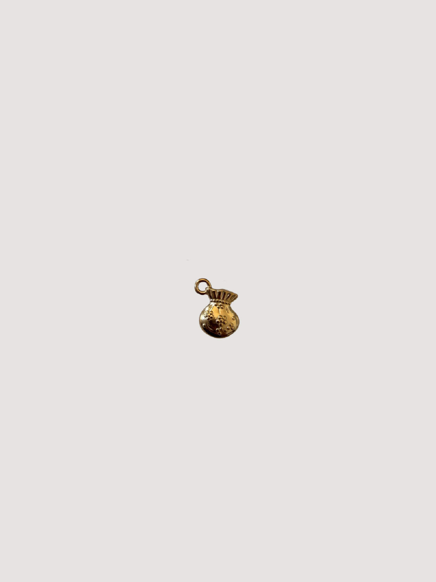 Charm Mini Saquito