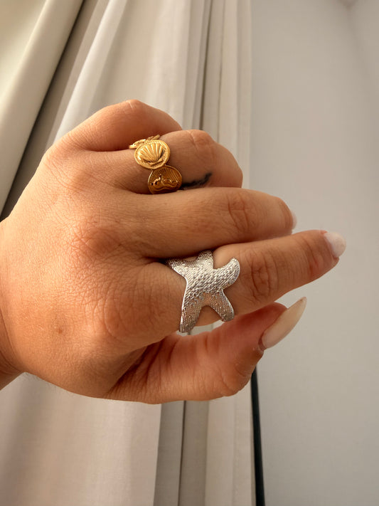 Anillo Costa Brava