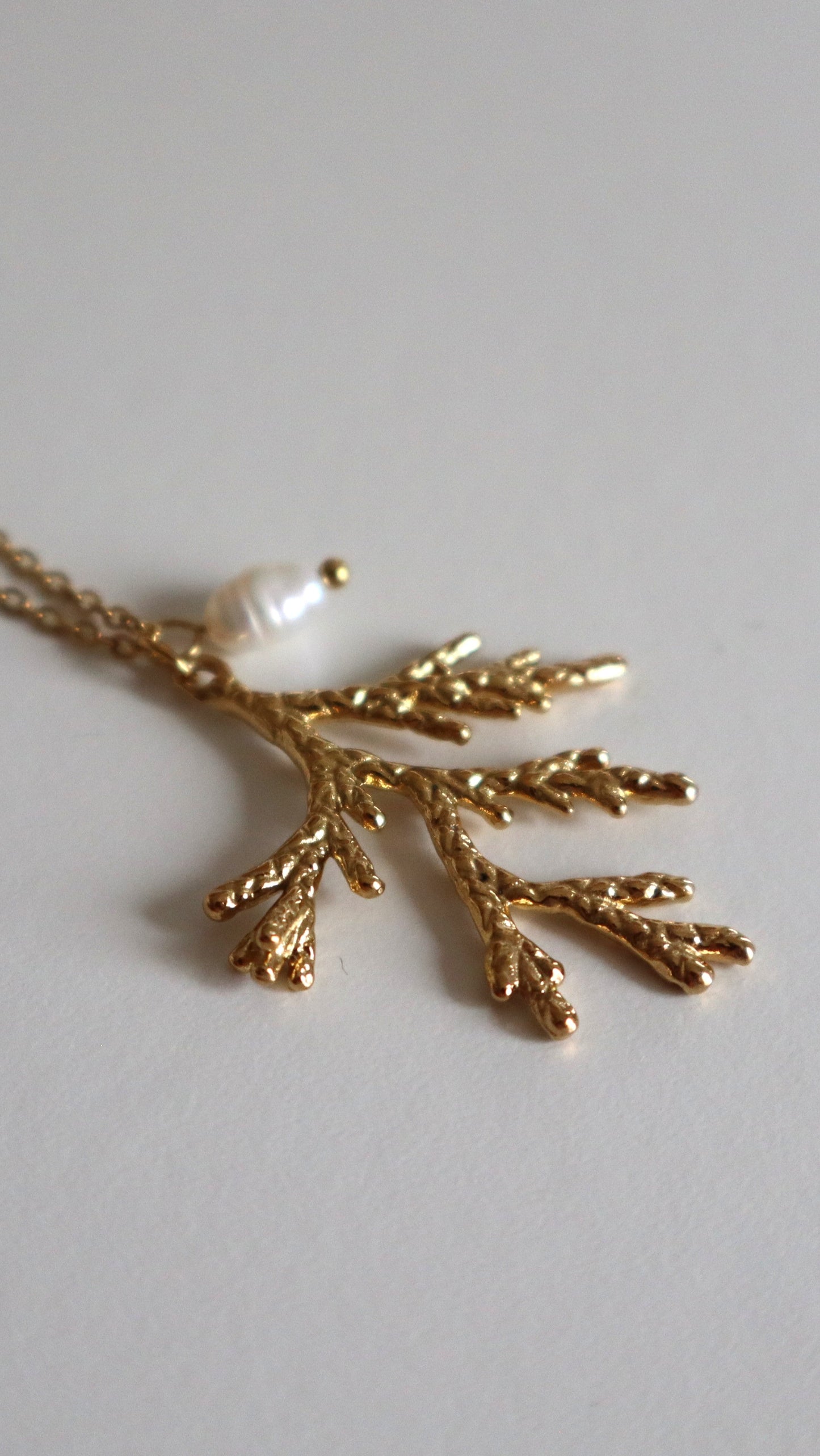 Collar Coralia
