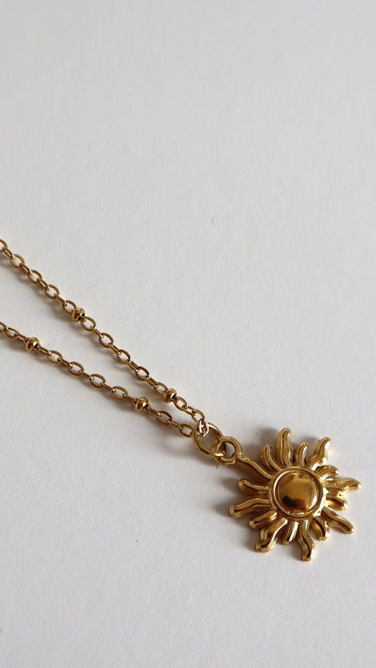 Collar Raina
