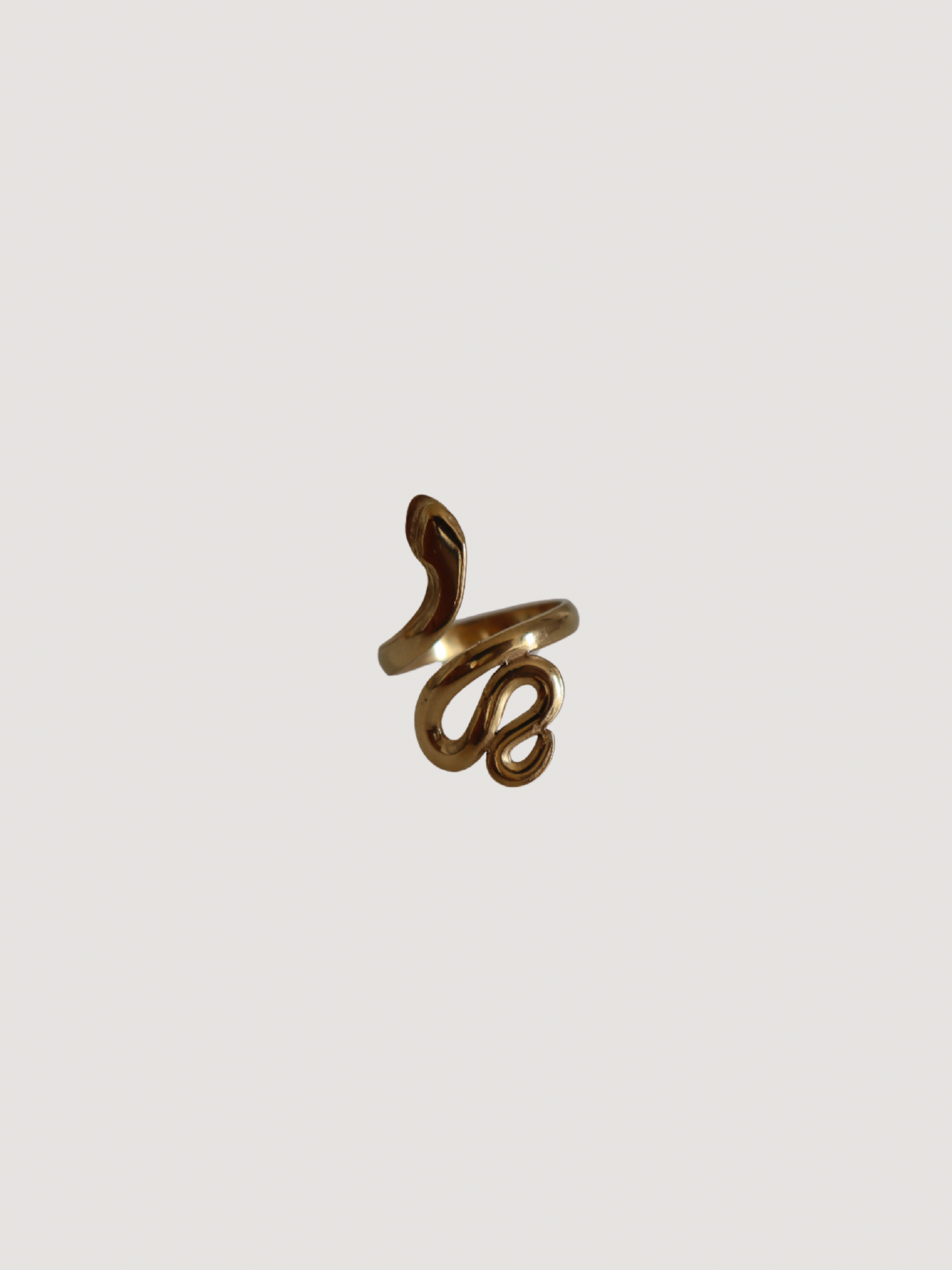 Anillo Serpiente