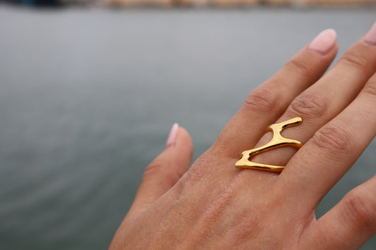 Anillo Arena