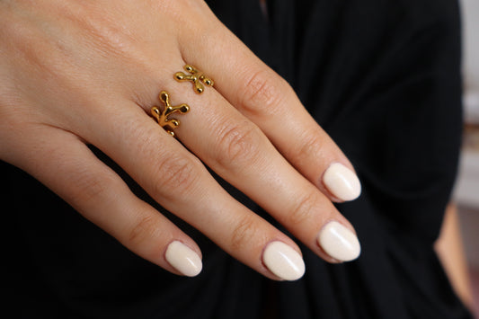 Anillo Natura