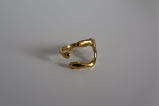 Anillo Laia