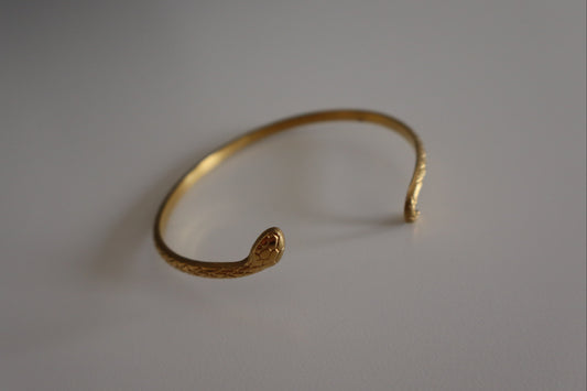 Brazalete Serpiente