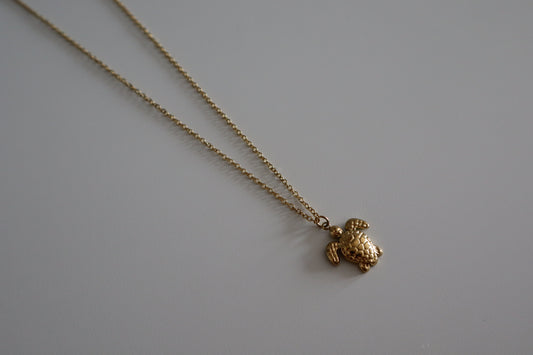 Collar Tortuga