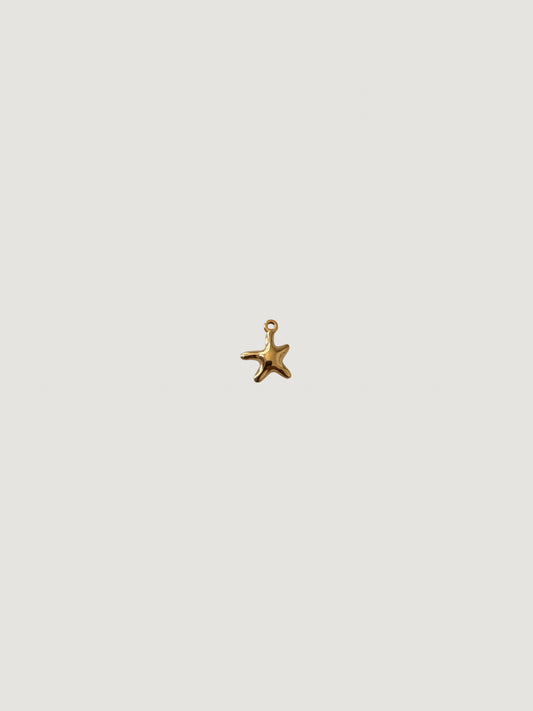 Charm Crazy Star