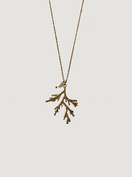 Collar Coralia