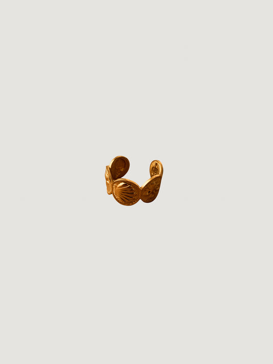 Anillo Caribe