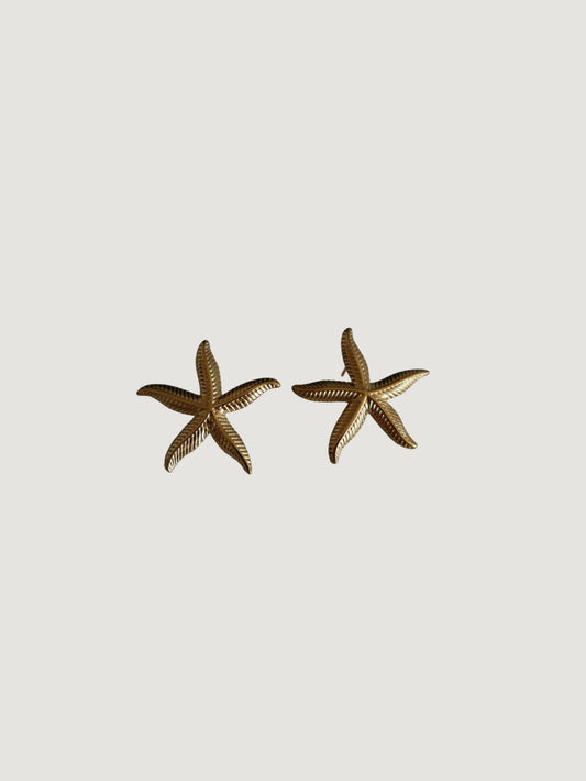 Pendientes Estrella de Mar