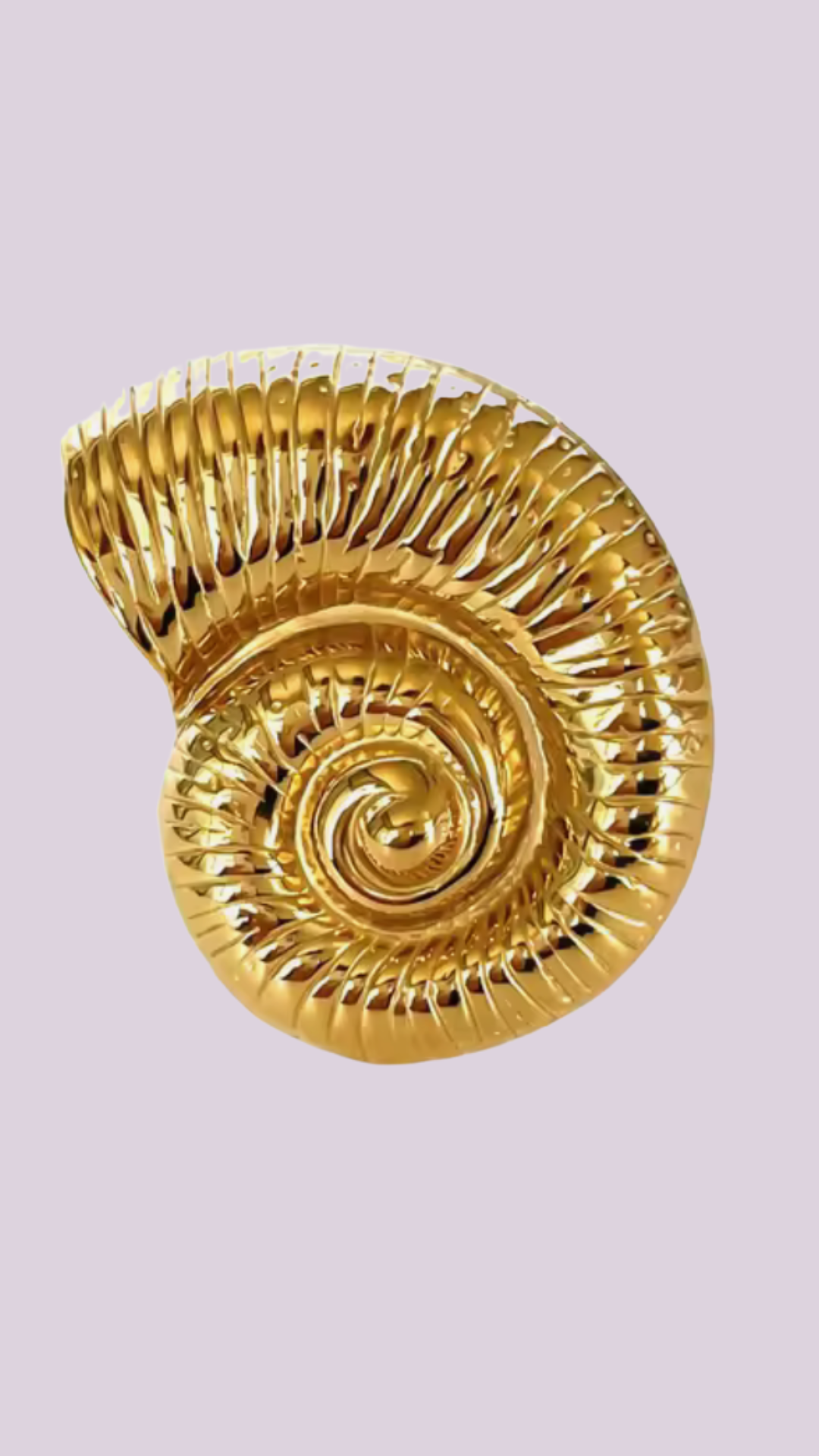 Anillo Caracola Maxi