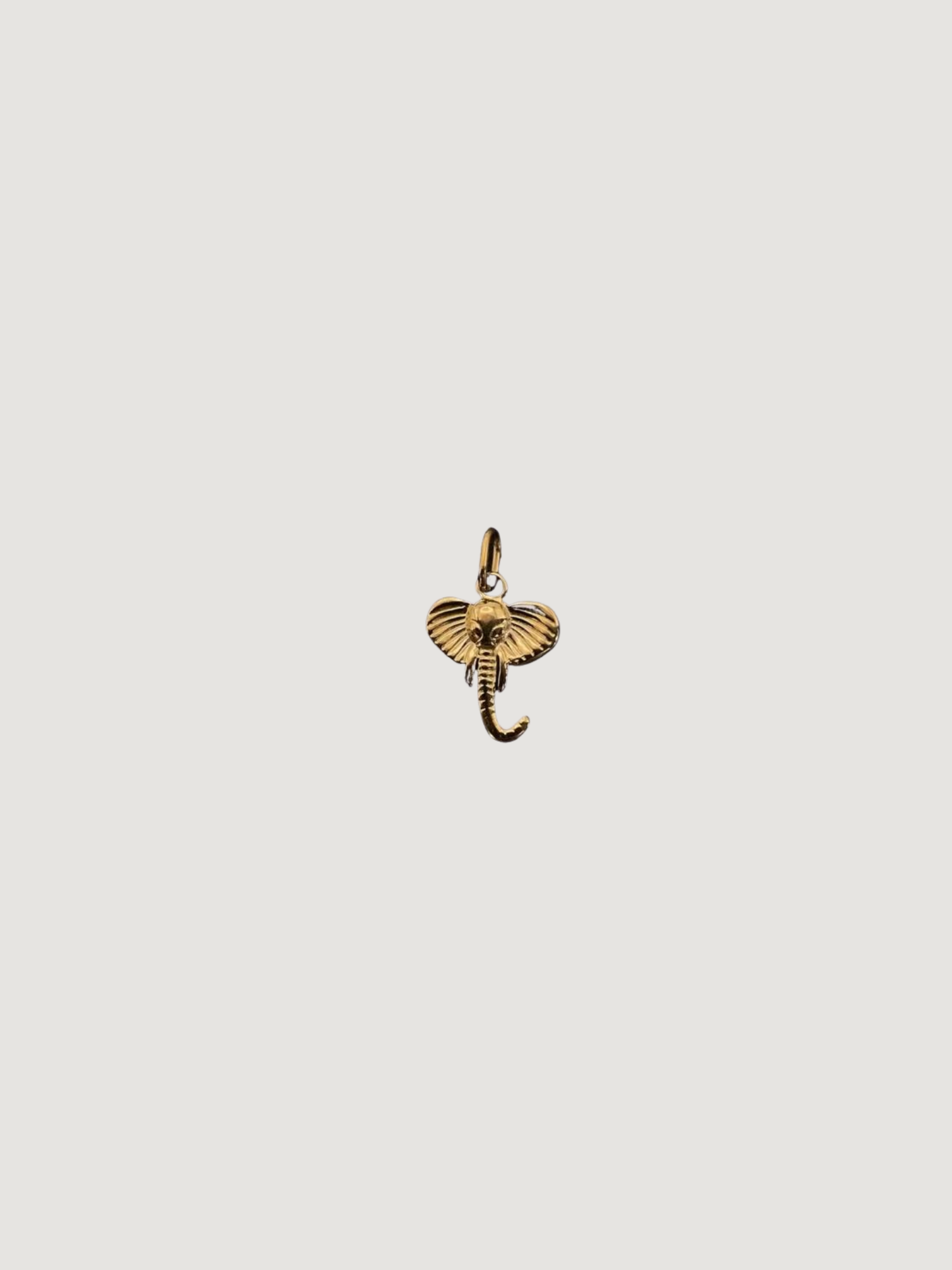 Charm Elefante