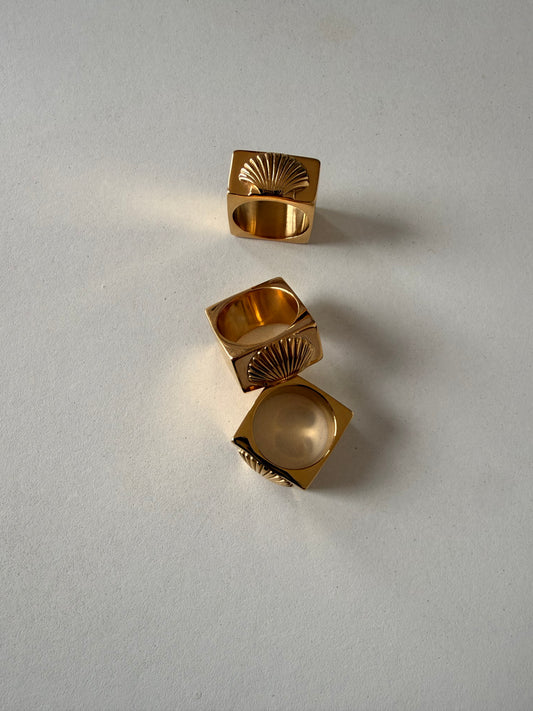 Anillo Costa