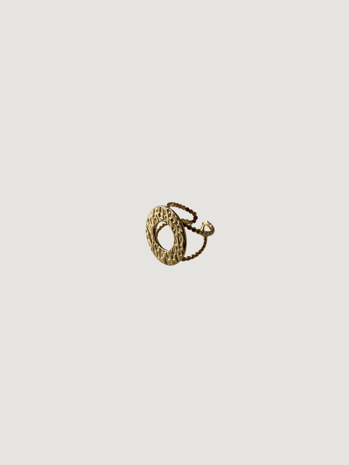 Anillo Tierra