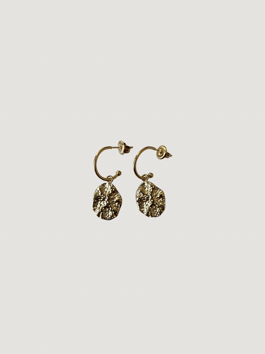Pendientes Clara