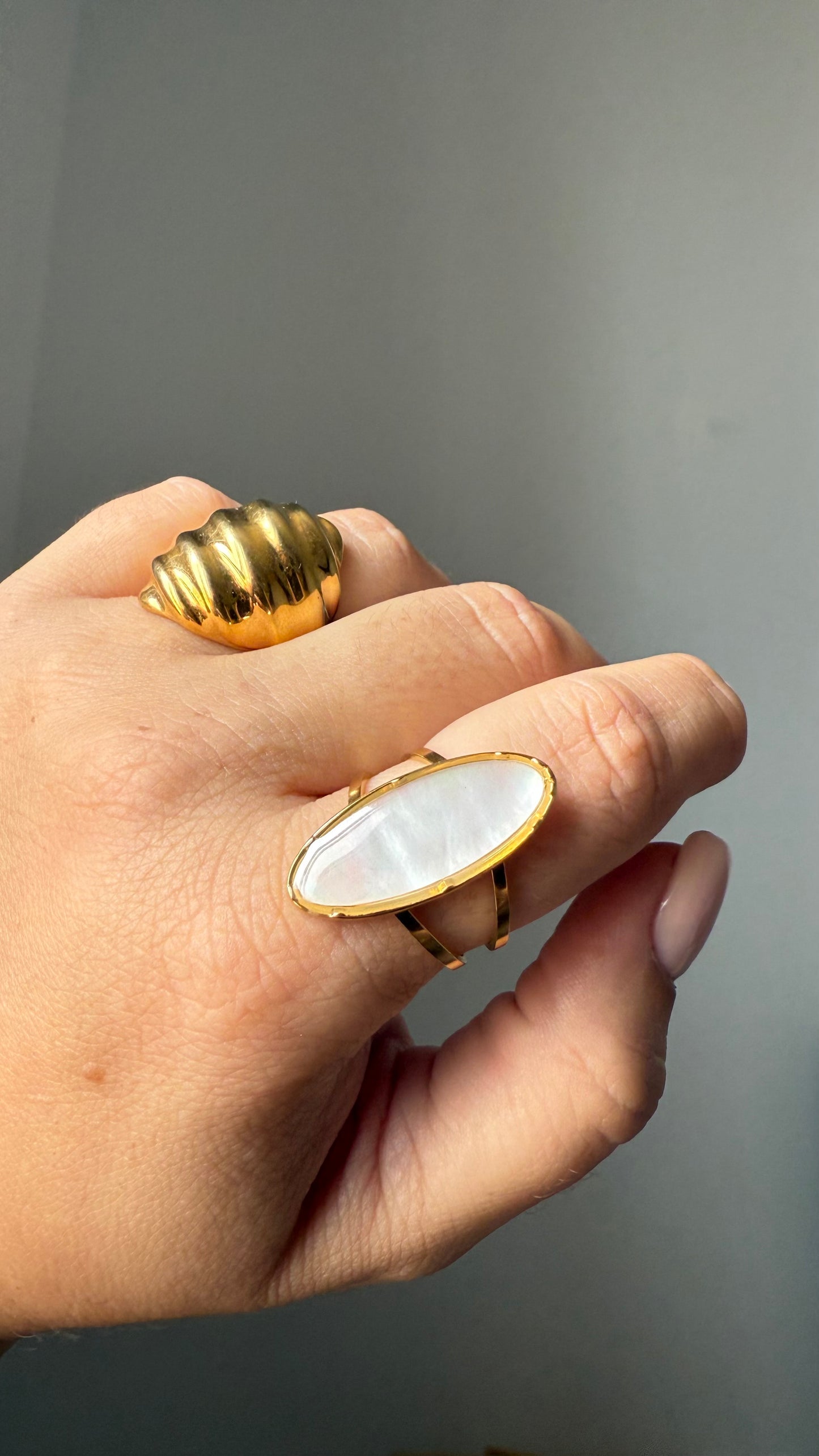 Anillo Orilla