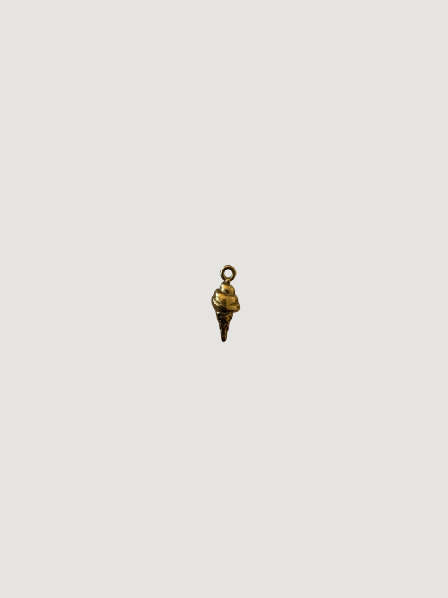 Charm Mini Helado