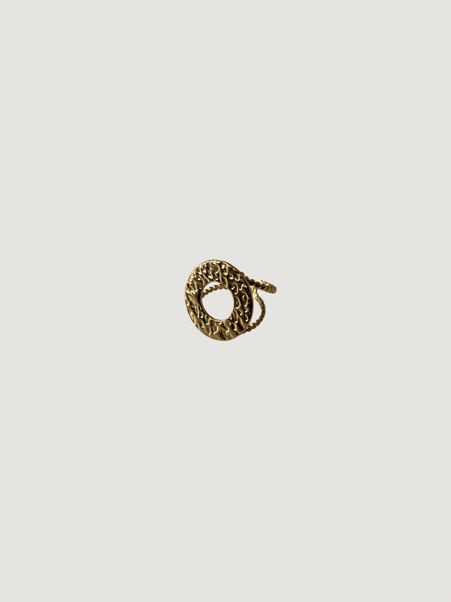 Anillo Tierra