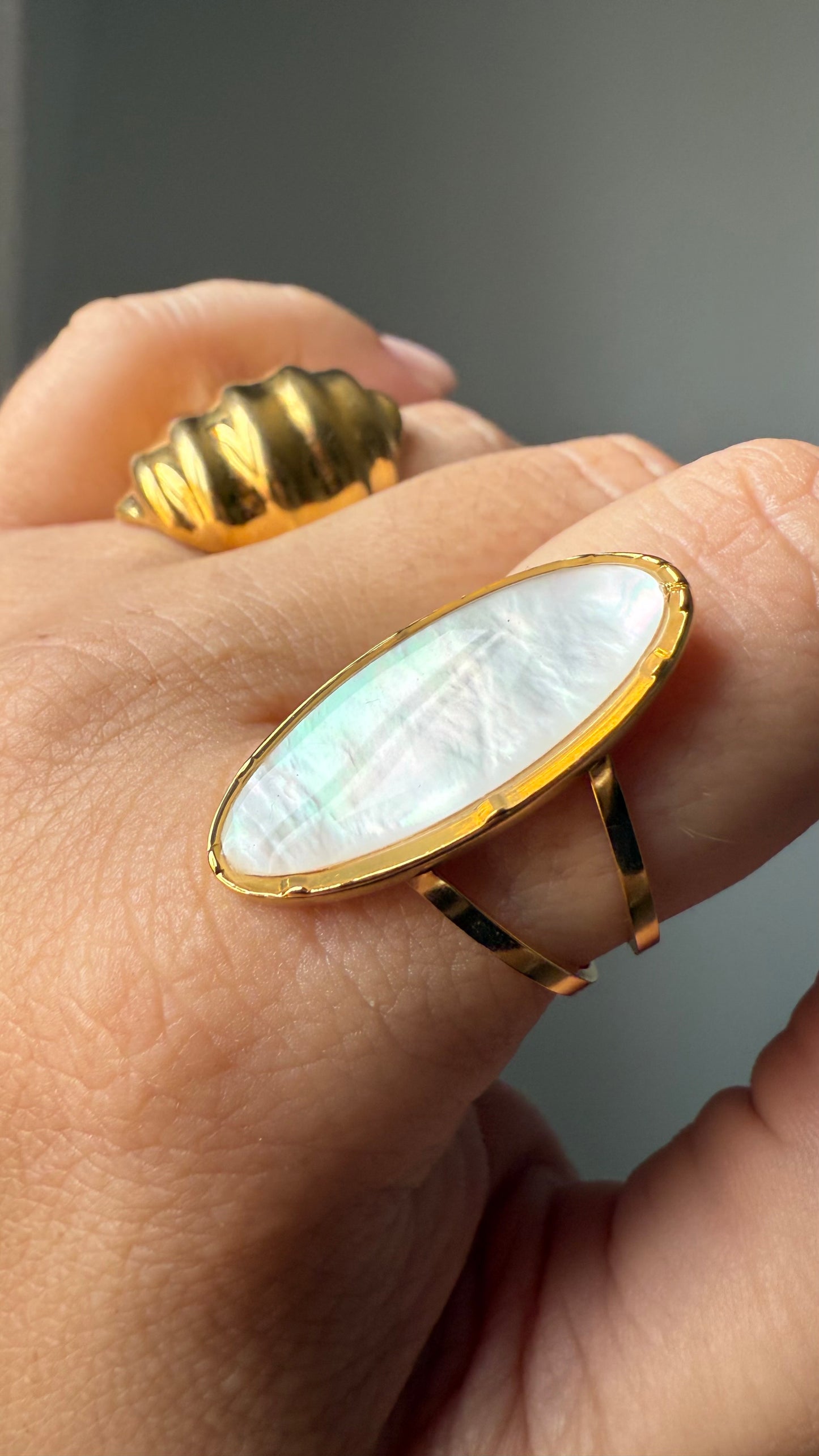 Anillo Orilla