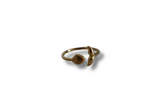 Anillo Ocean