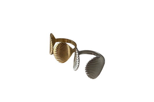 Anillo Conchas