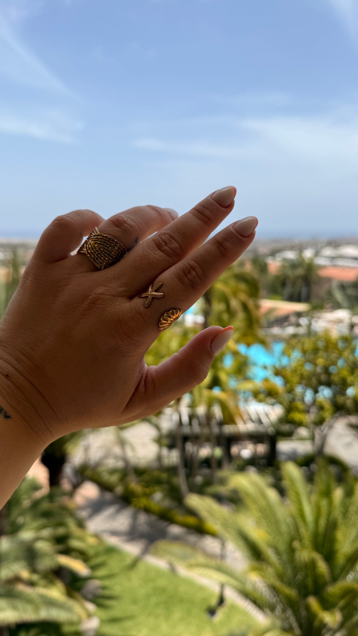 Anillo Anfi