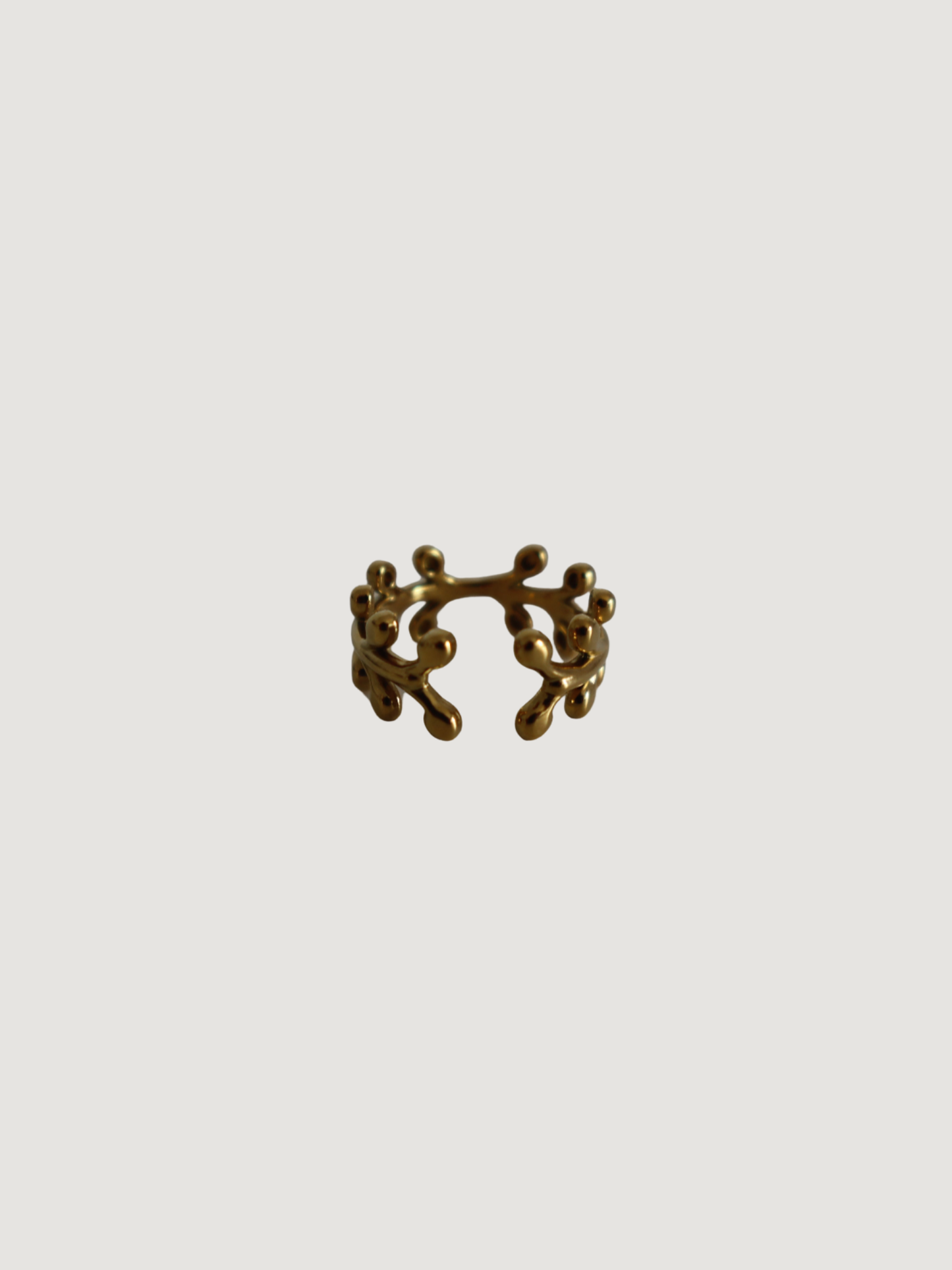 Anillo Natura