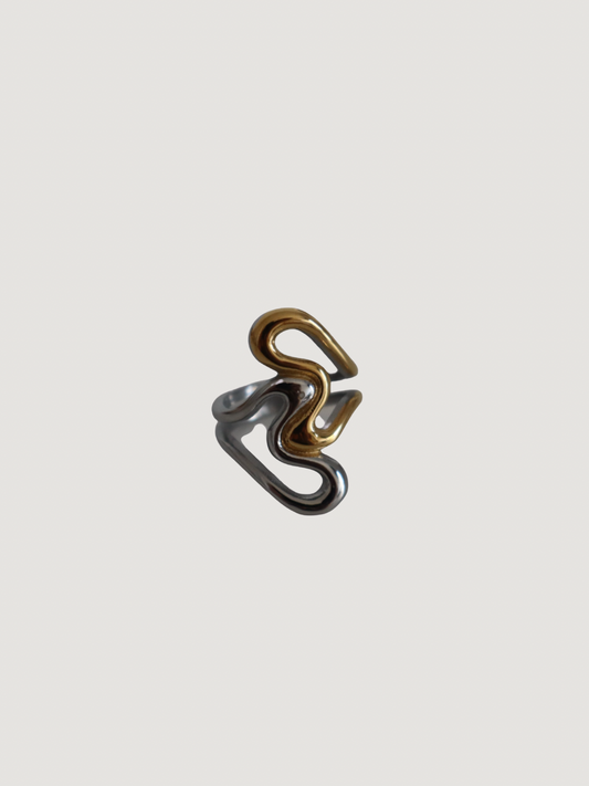 Anillo Orilla