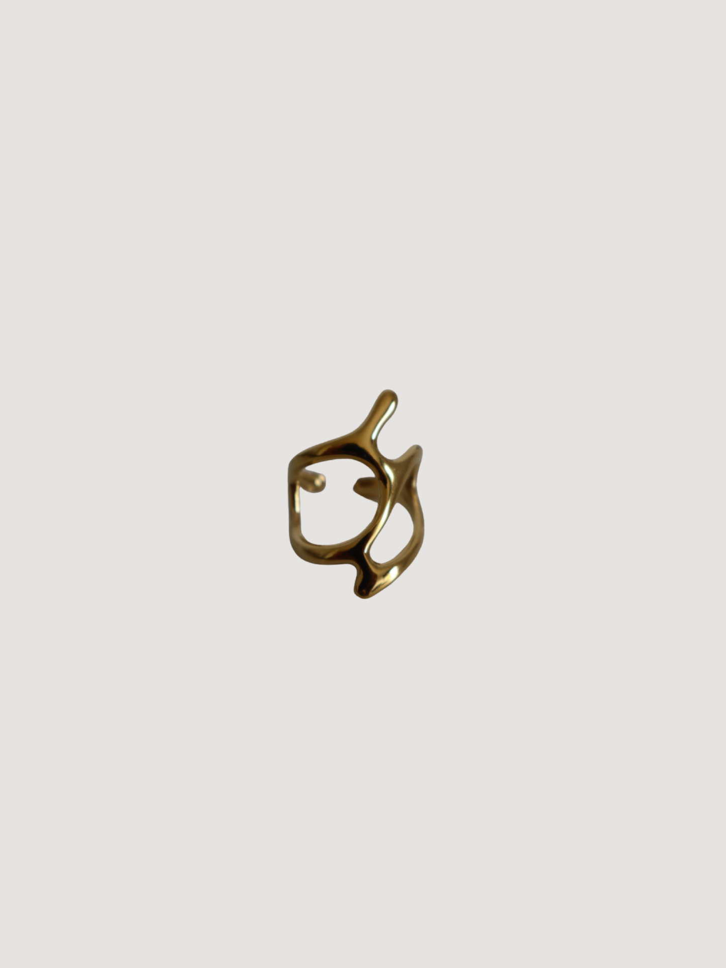 Anillo Arena