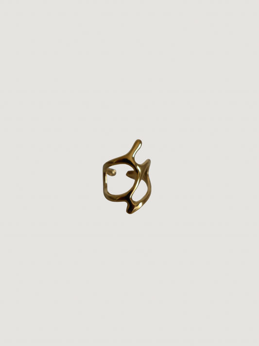 Anillo Arena