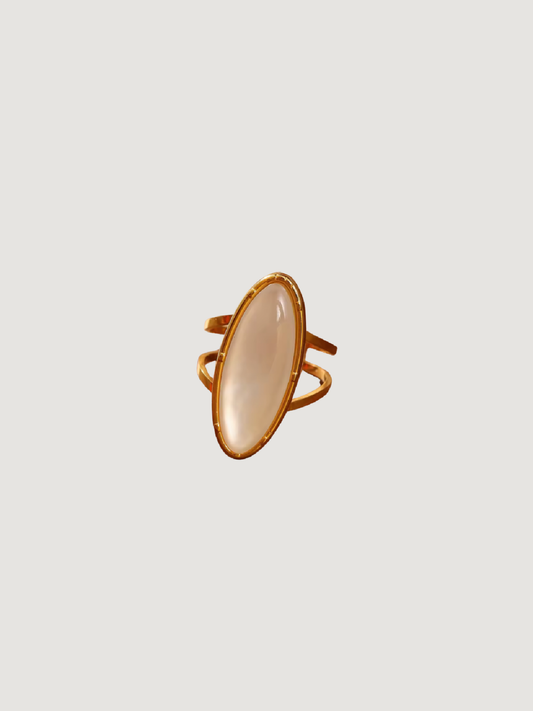 Anillo Orilla