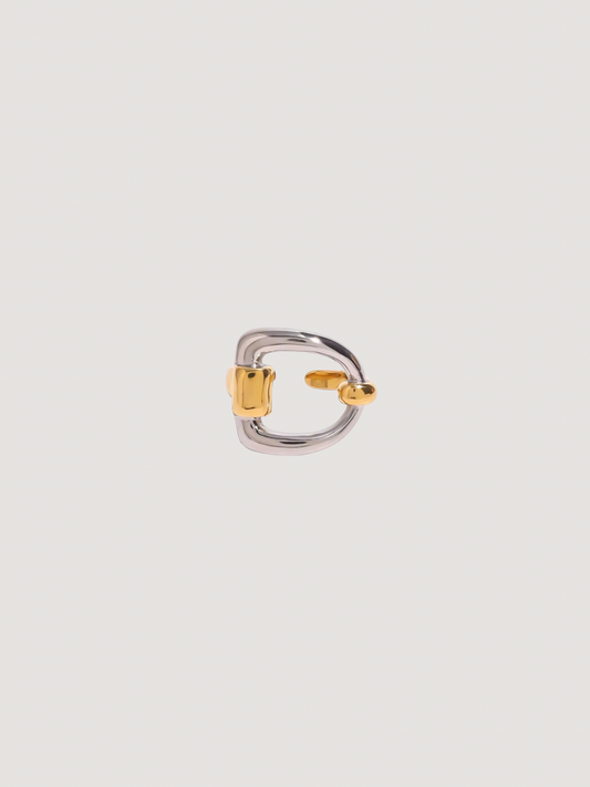 Anillo Hebba