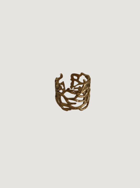 Anillo Coral