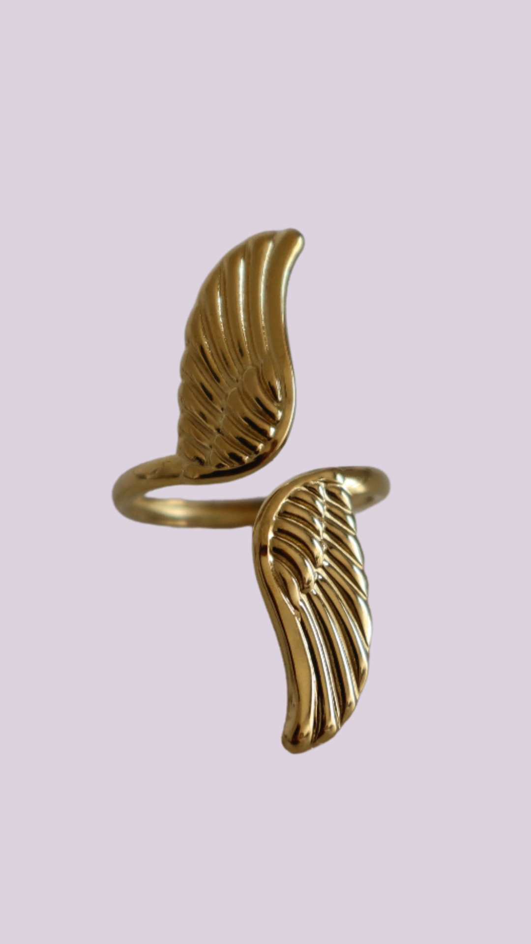 Anillo Alas