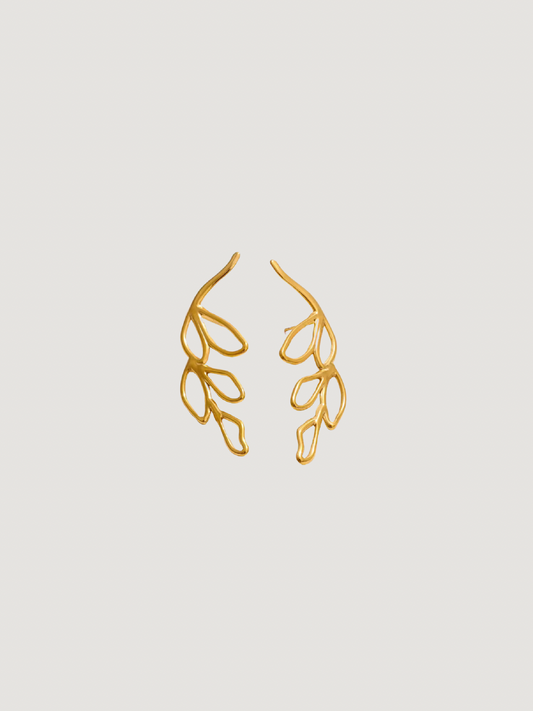 Pendientes Nicol