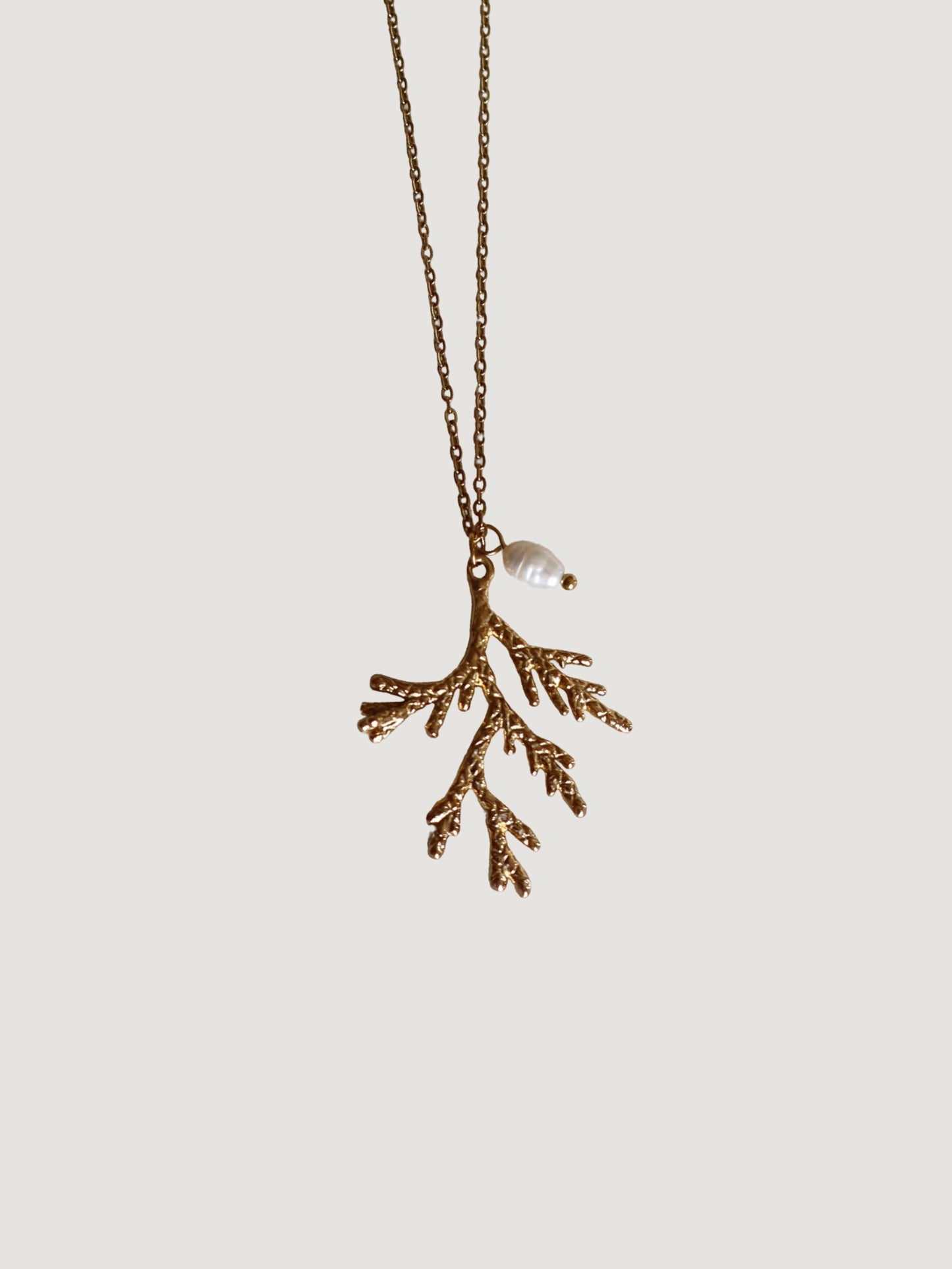 Collar Coralia