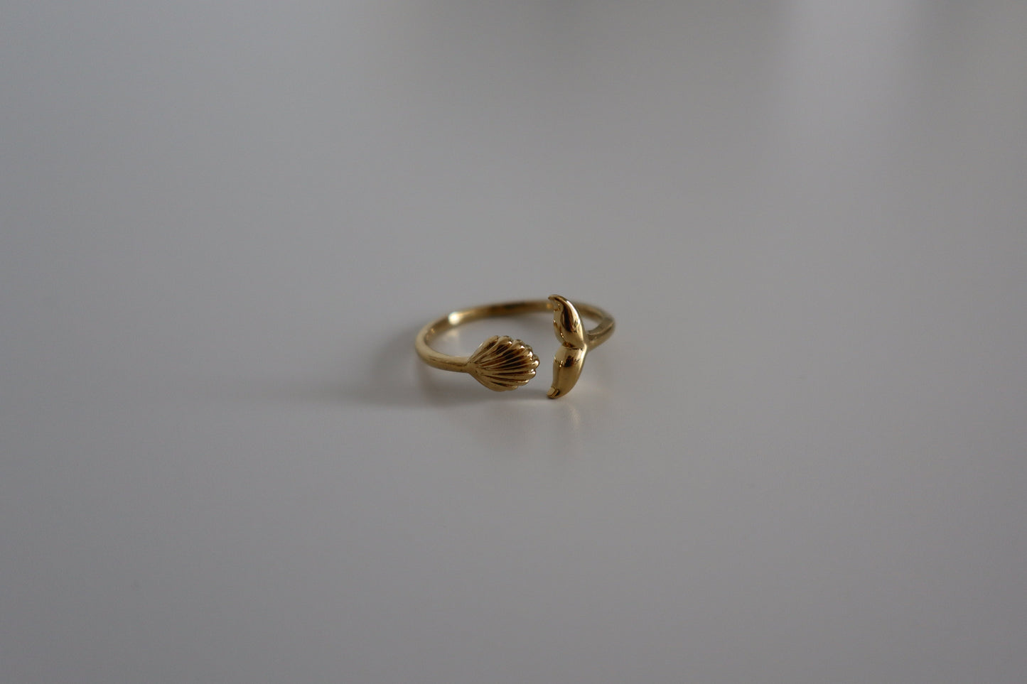 Anillo Ocean