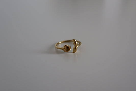 Anillo Ocean