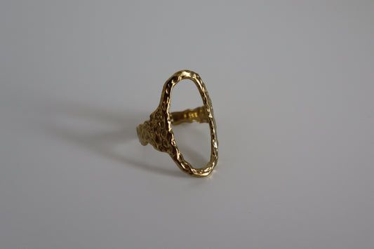 Anillo Duna