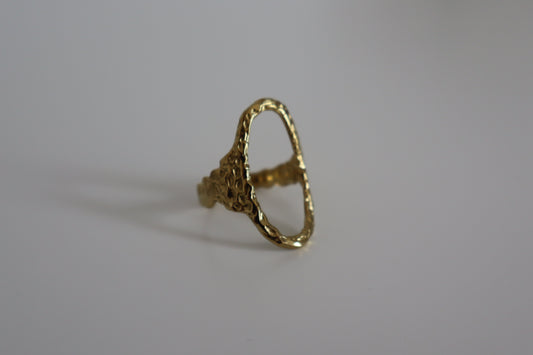 Anillo Duna