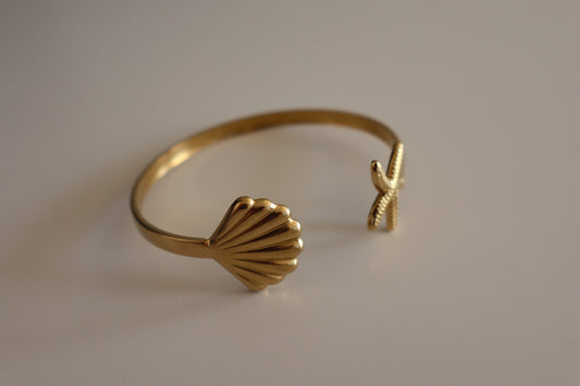 Brazalete Anfi