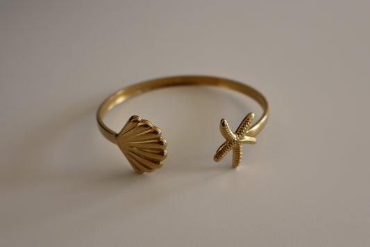 Brazalete Anfi