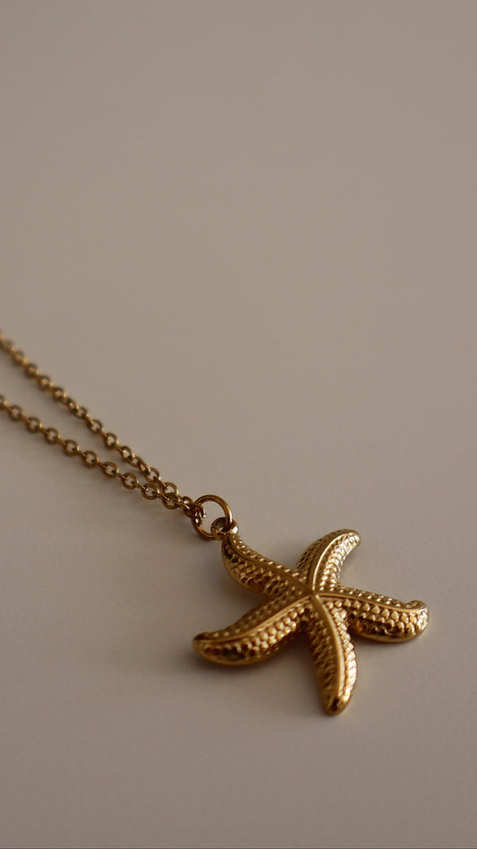 Collar Estrella de Mar Mini