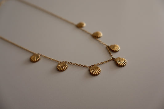 Collar Mini Conch Dorado